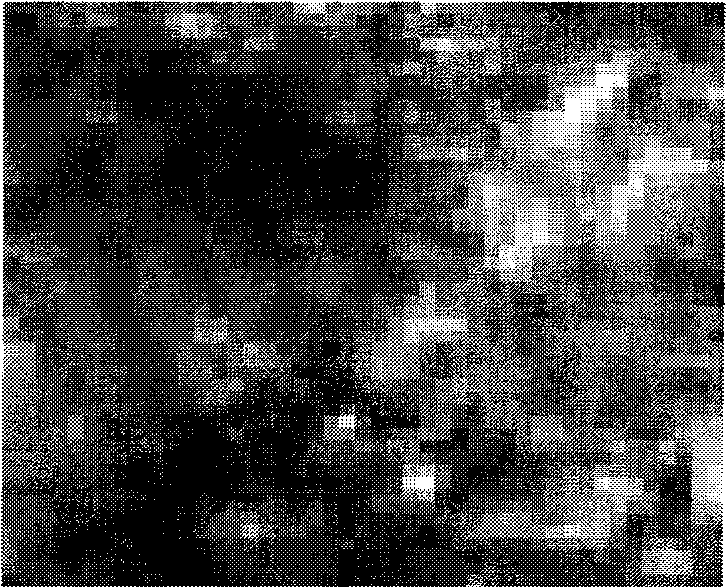 Microcrystalline soft magnetic powder material and preparation method thereof