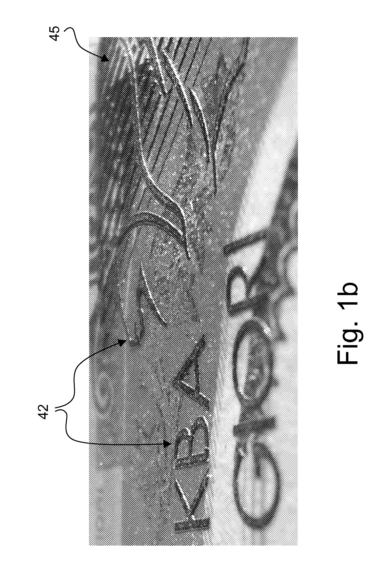 Authentication of Security Documents, in Particular of Banknotes