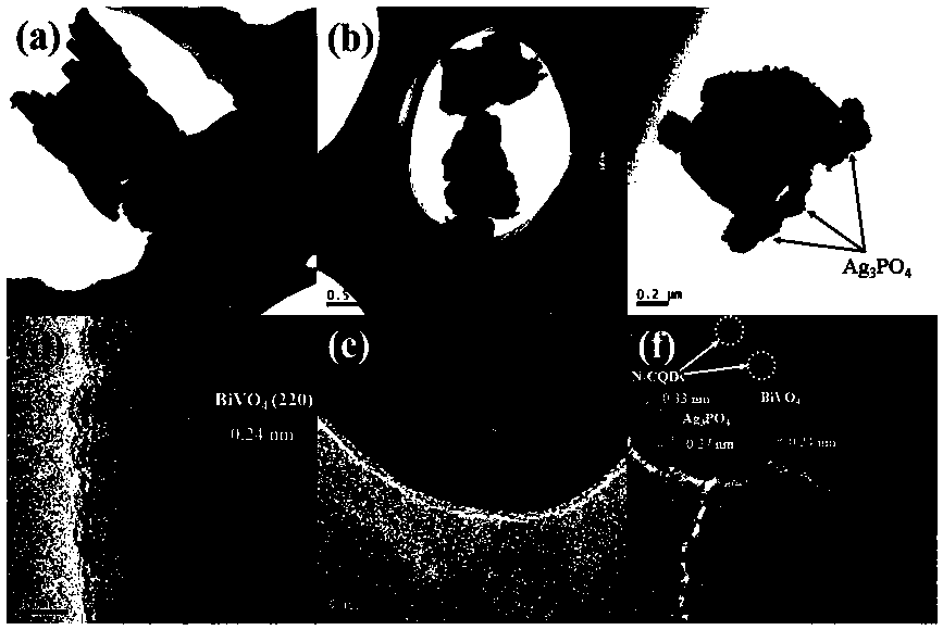 Silver phosphate/nitrogen-doped carbon quantum dot/bismuth vanadate Z type photocatalyst, preparation method and application thereof