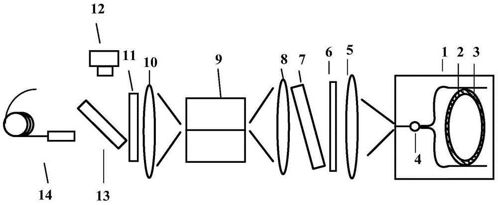 External cavity laser with tunable wavelength and adjustable light emitting module