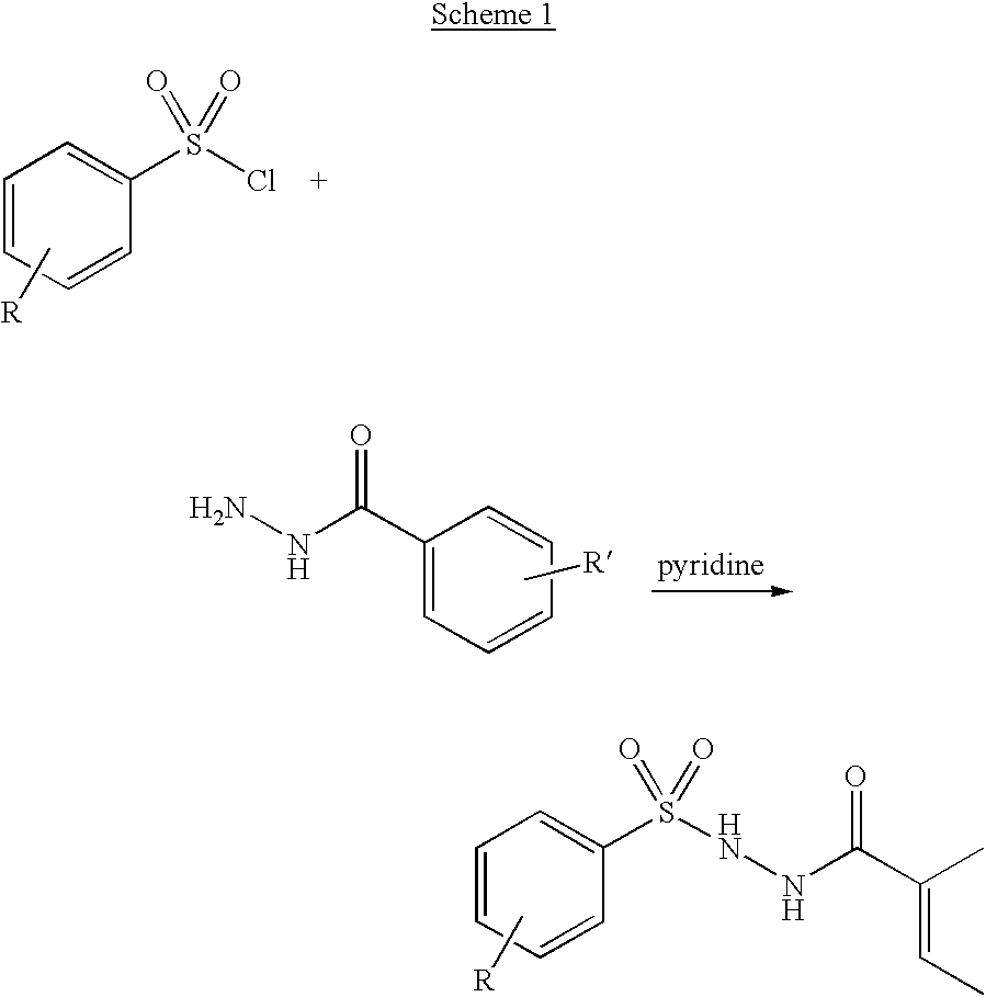 Branched chain amino acid-dependent aminotransferase inhibitors and their use in the treatment of neurodegenerative diseases