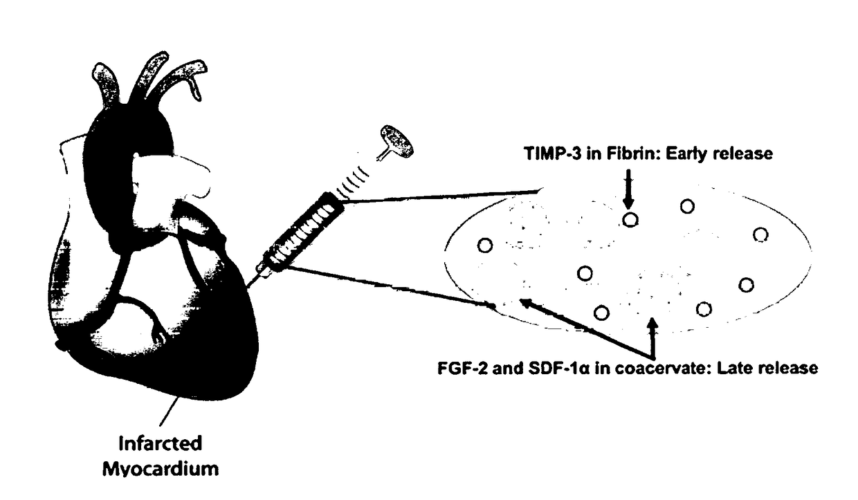 Spatiotemporal Delivery Vehicle and Related Methods