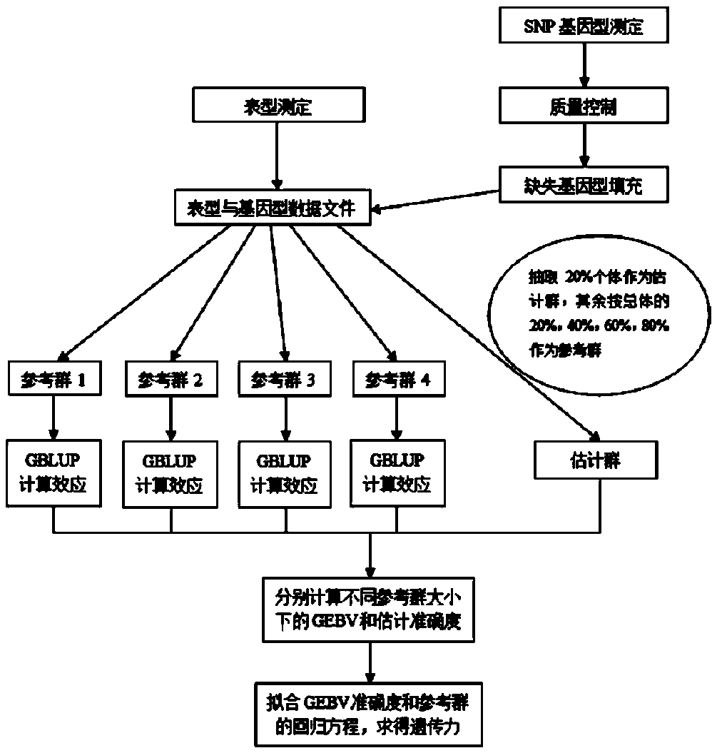 Algorithm for assessing heritability through genome data