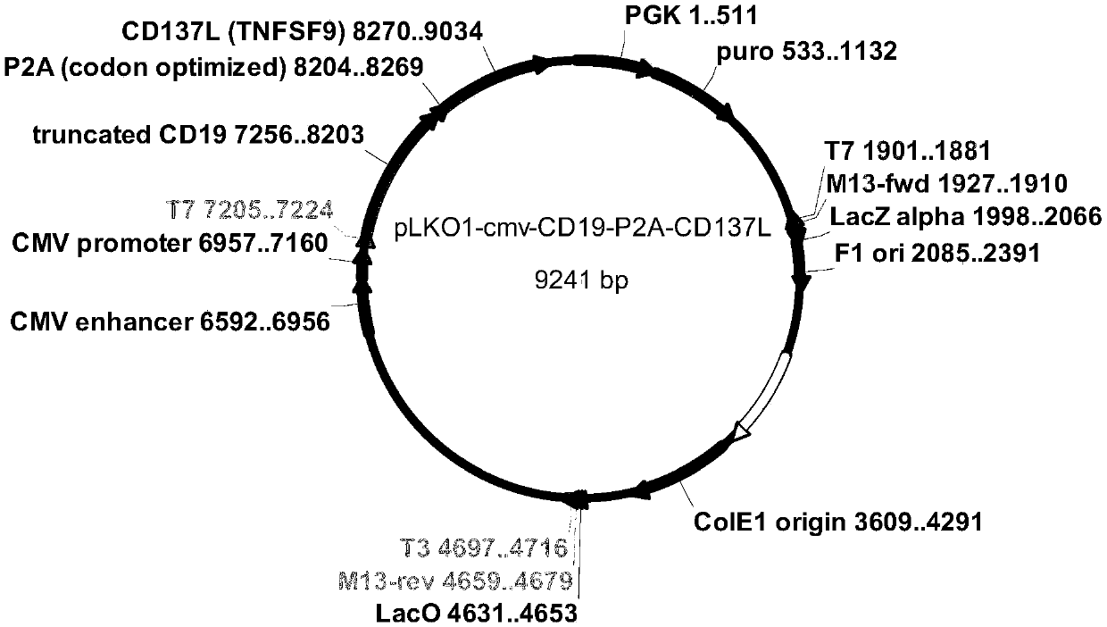 Method for preparing NK by using freeze-dried feeder layer cells