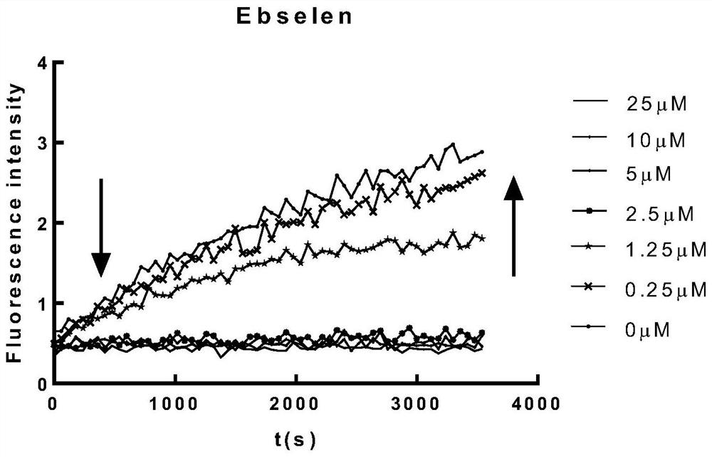 Application of Ebselen in preparation of coronavirus papaya-like protease inhibitor and anti-coronavirus infection medicine