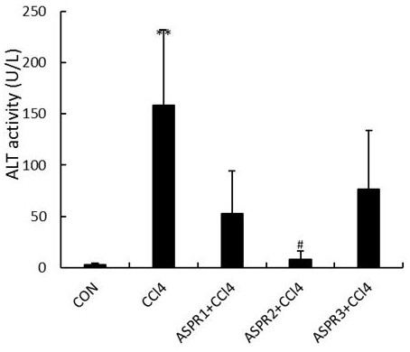 Application of a kind of angelica protein in the preparation of liver injury protection medicine