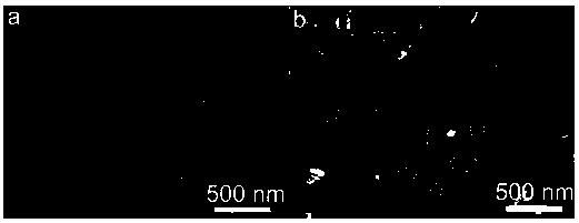 Preparation method and application of iron-nickel-doped tantalum nitride carbon nano-film integrated electrode