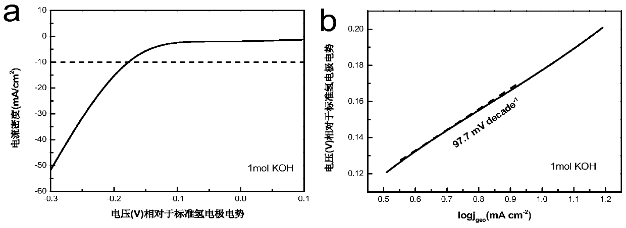 Preparation method and application of iron-nickel-doped tantalum nitride carbon nano-film integrated electrode