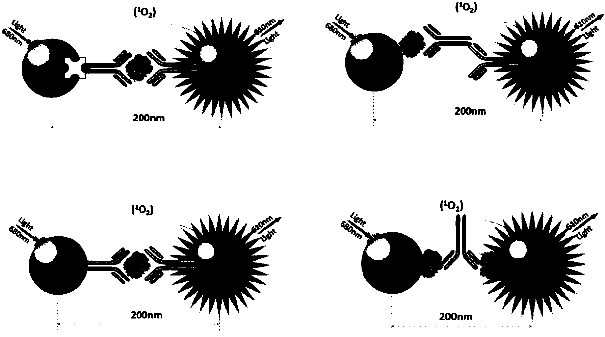 A homogeneous immunoassay POCT detection method and a system using the detection method