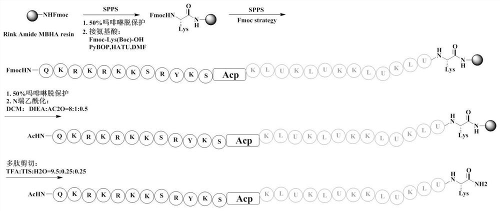 VEGFR (vascular endothelial growth factor receptor) targeting cracking peptide conjugate and application thereof