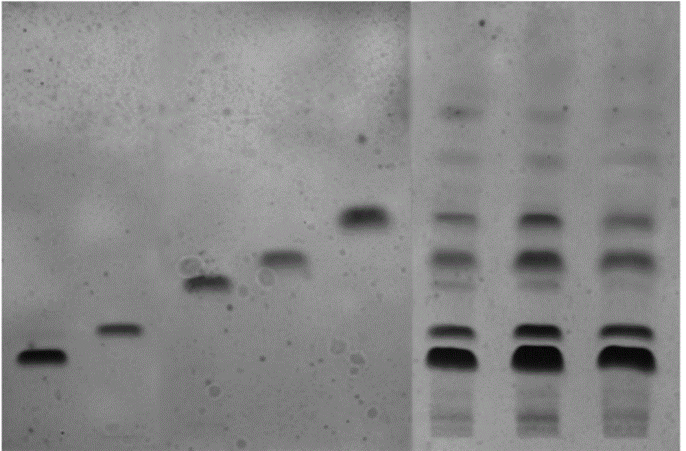 Method for rapidly screening tea tree resource containing EGCG3''Me (Epigallocatechin Gallate)