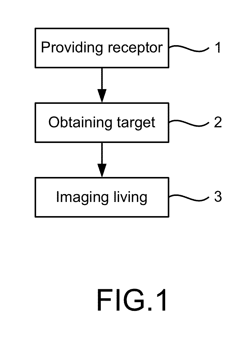 Method of colorectal cancer detection by using radiolabeled anti-GRP78 peptide