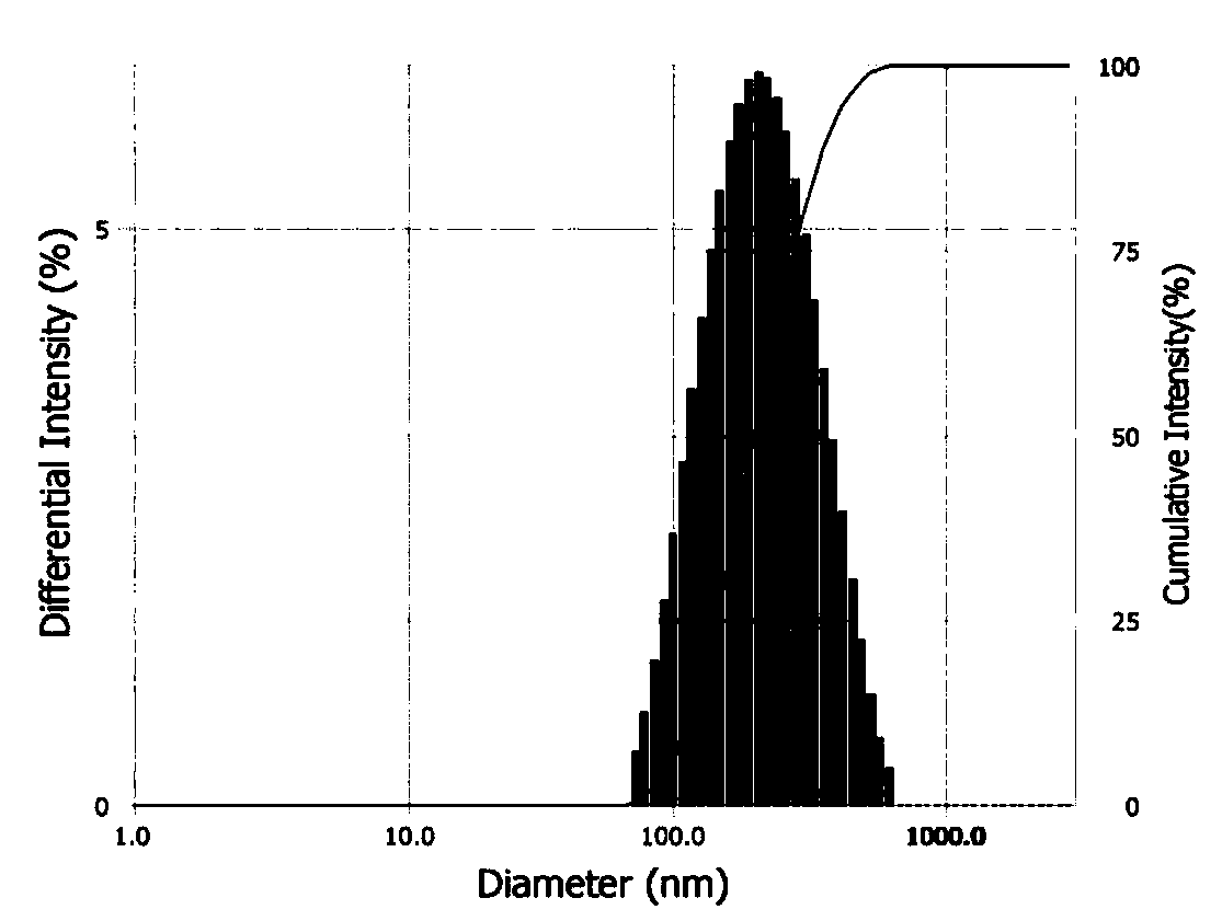 Nanoscale chitosan derivative ultrasonic contrast medium capable of converting surface charges and preparation method of contrast medium