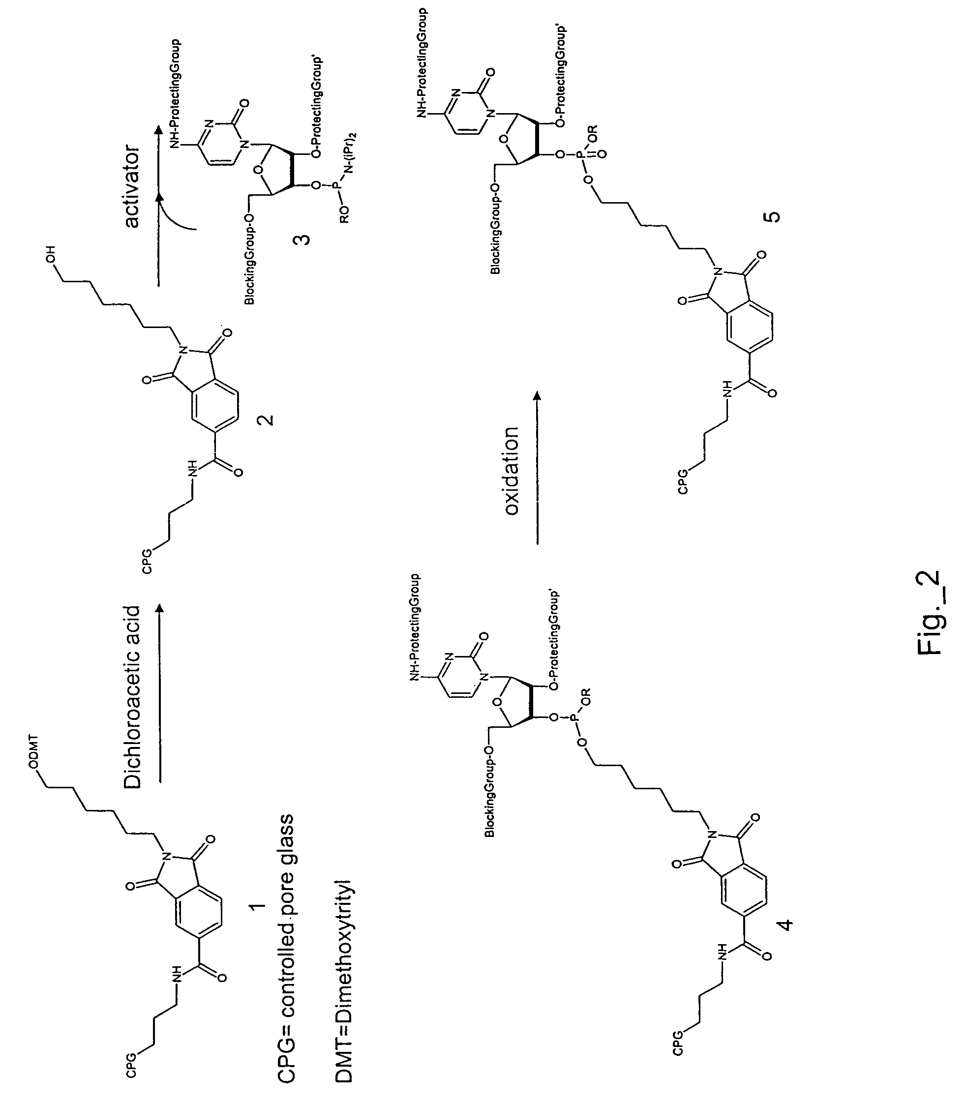 Labeled nucleotide composition