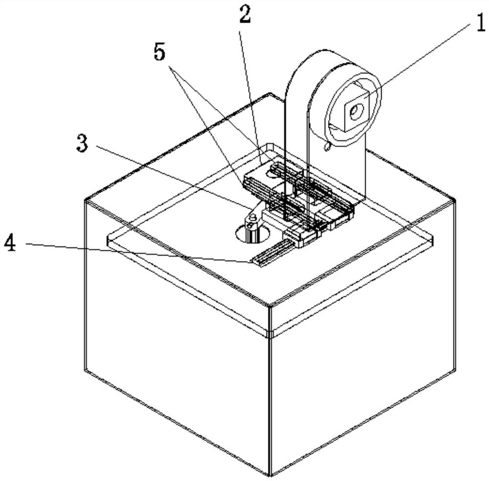 An iris intelligent 3D information collection and measurement device