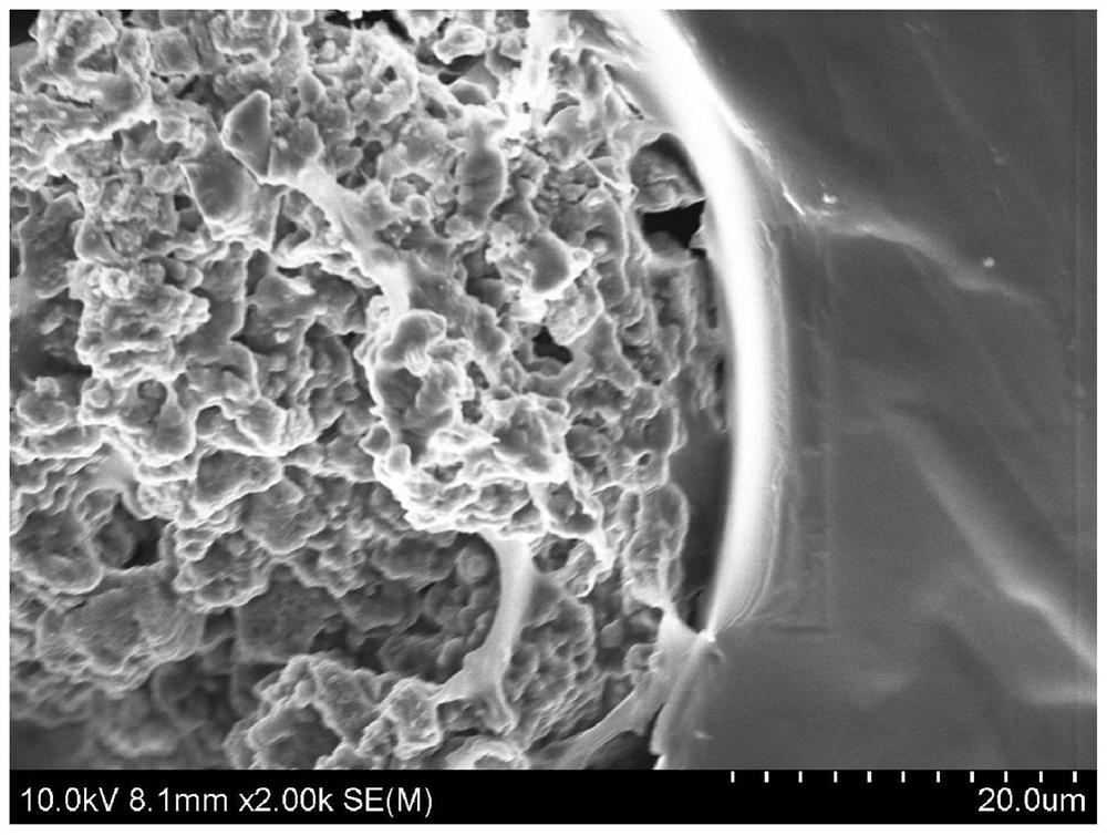 A kind of preparation method of hydroxyapatite/plga double-layer scaffold