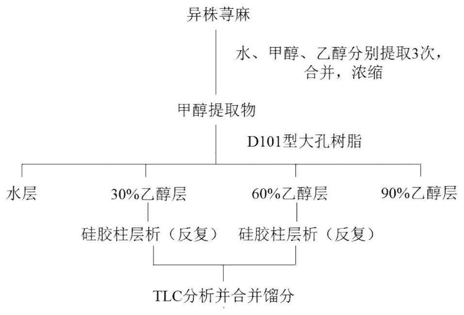 Anti-MRSA nettle extract, and extraction method and applications thereof