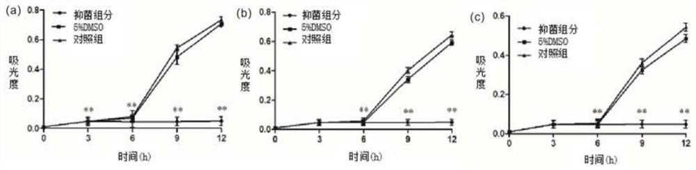 Anti-MRSA nettle extract, and extraction method and applications thereof