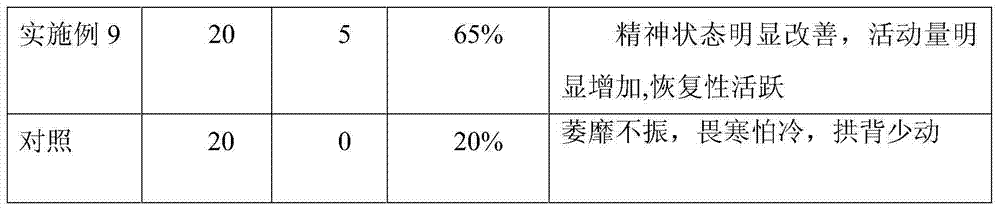 Dispersible tablet of maca, preparation method and application thereof