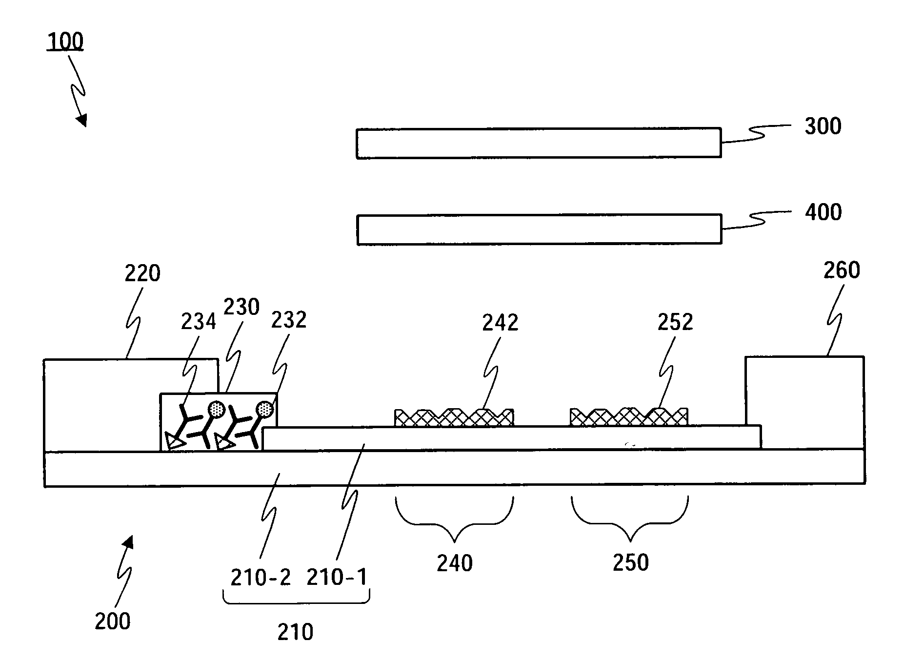 Non-Liquid Phase Type Chemiluminescent Enzyme Immunoassay Method and Assay Kit