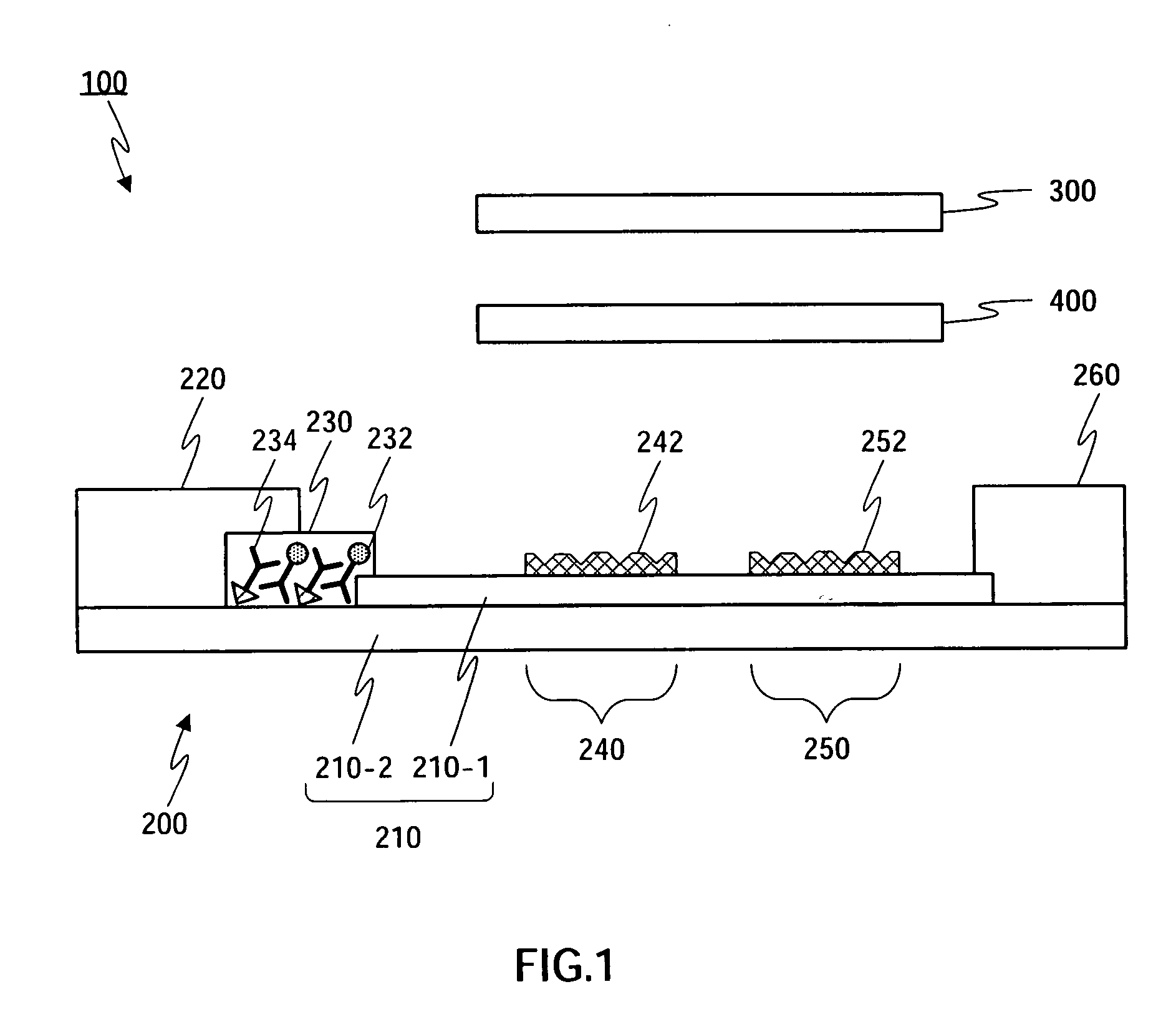 Non-Liquid Phase Type Chemiluminescent Enzyme Immunoassay Method and Assay Kit