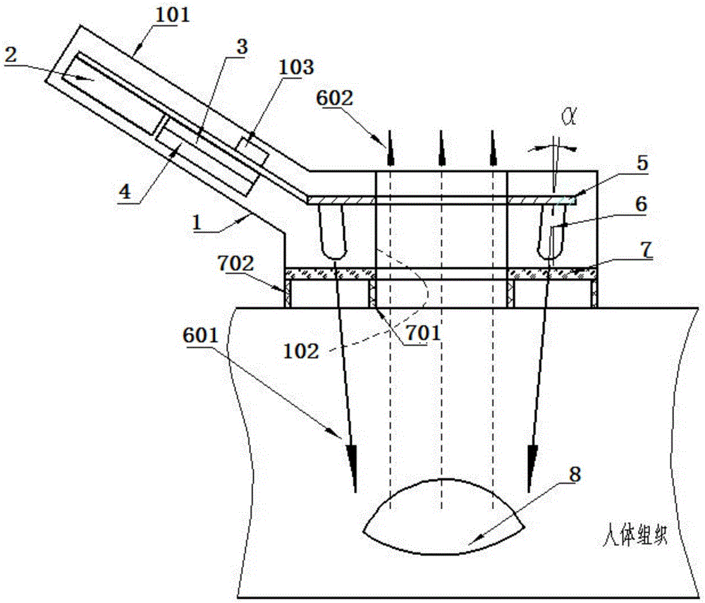 Contact-type excitation light source used for fluorescence imaging detecting system