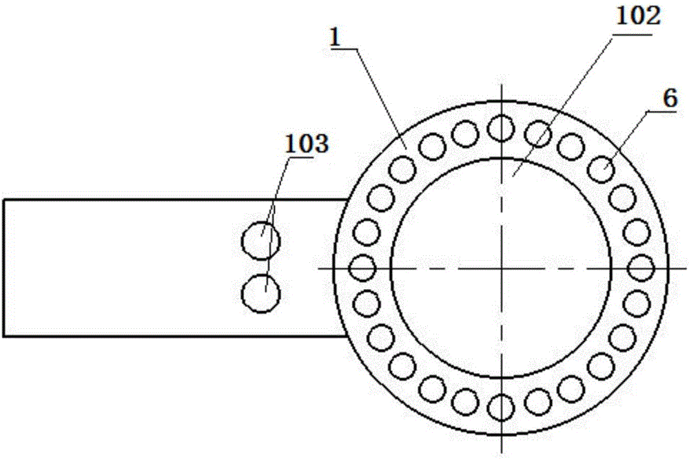 Contact-type excitation light source used for fluorescence imaging detecting system