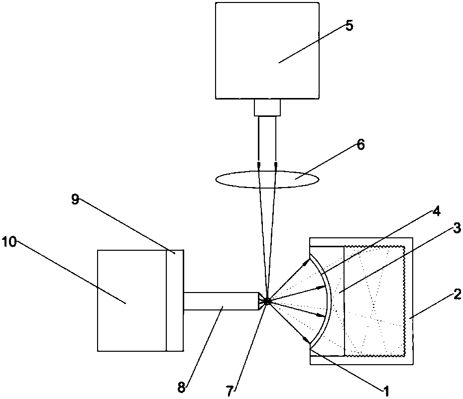 Dichromatic curved reflector structure for improving signal-to-noise ratio of fluorescence detector