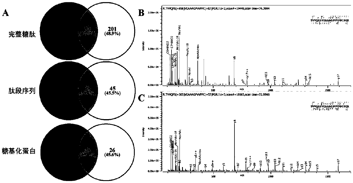 Method for identifying simplified O-GalNAc glycosylation peptide fragment based on chemical reaction