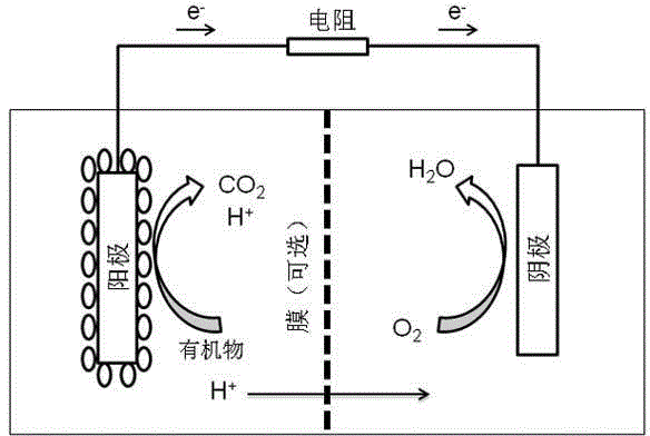 Microbial capacitive desalination fuel cell technology