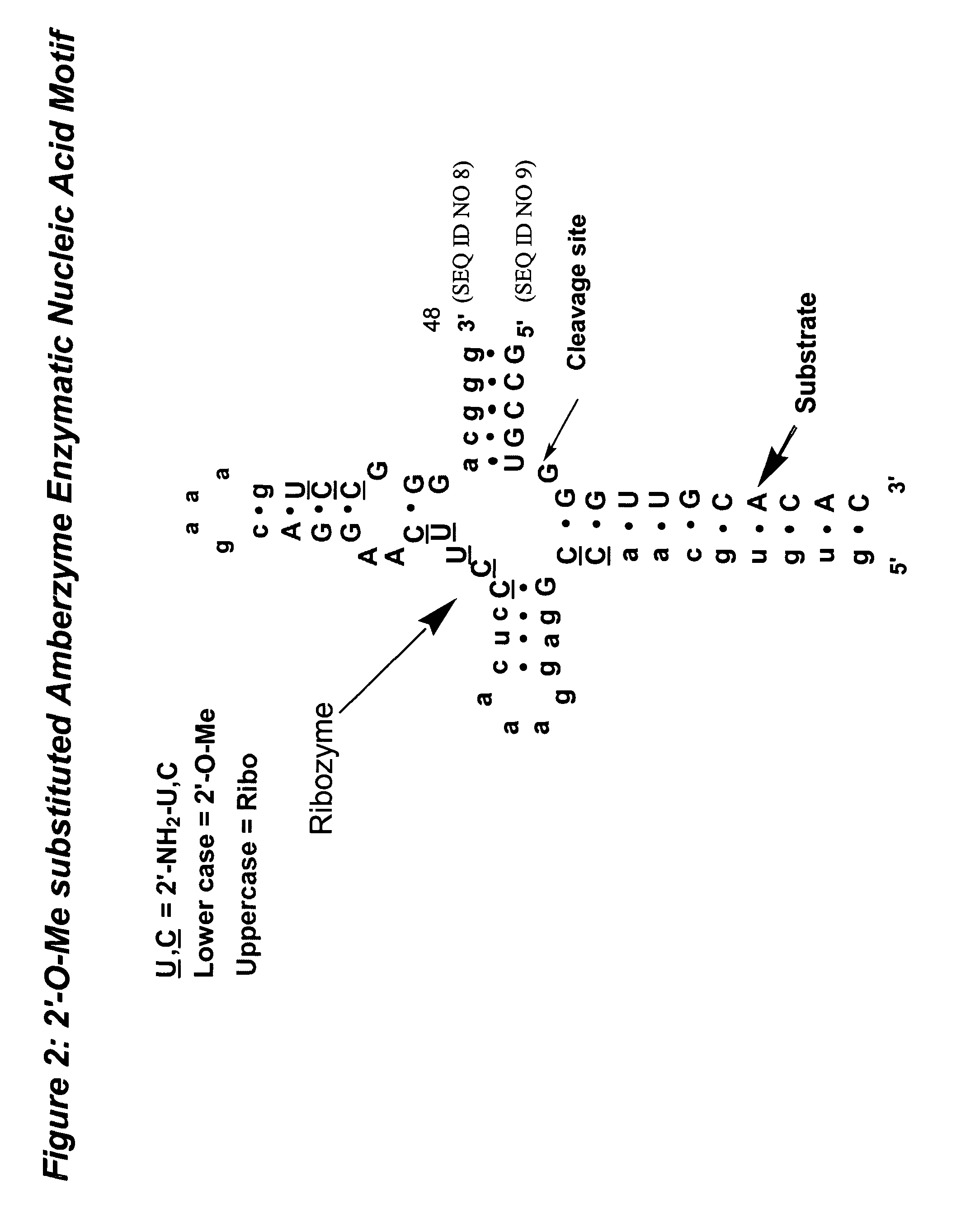 Conjugates and compositions for cellular delivery