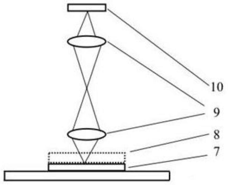 Thin-layer fluorescence focusing method for rapidly detecting single-stranded nucleic acid