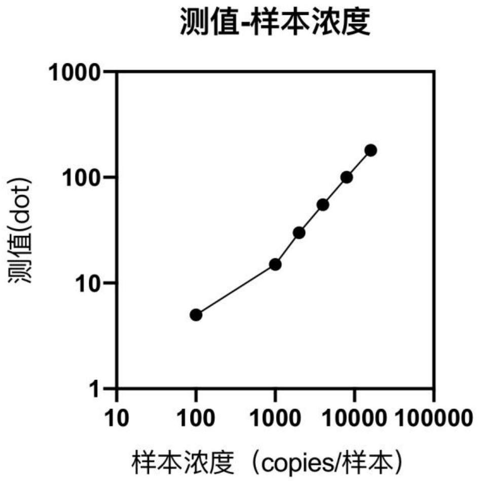 Thin-layer fluorescence focusing method for rapidly detecting single-stranded nucleic acid