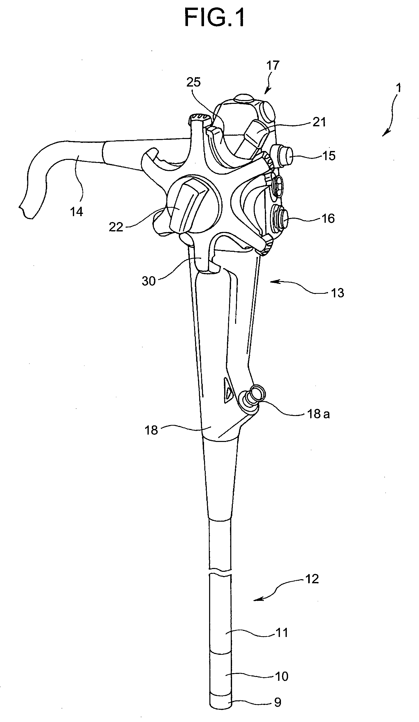 Endoscope And Supportive Member For Bending Operation Of The Same