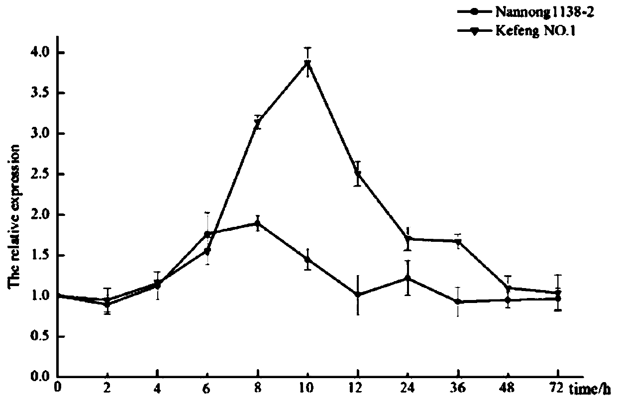 Soybean mosaic virus SC18 line resistance gene GmNIK and application thereof