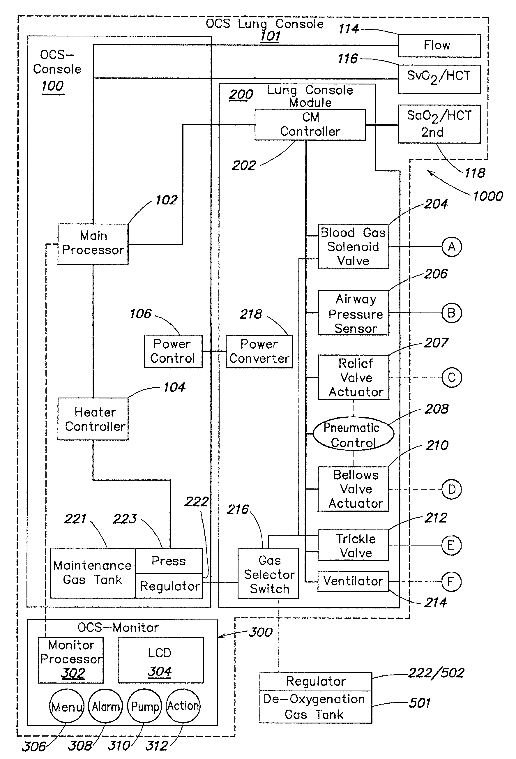 Systems and methods for ex vivo lung care