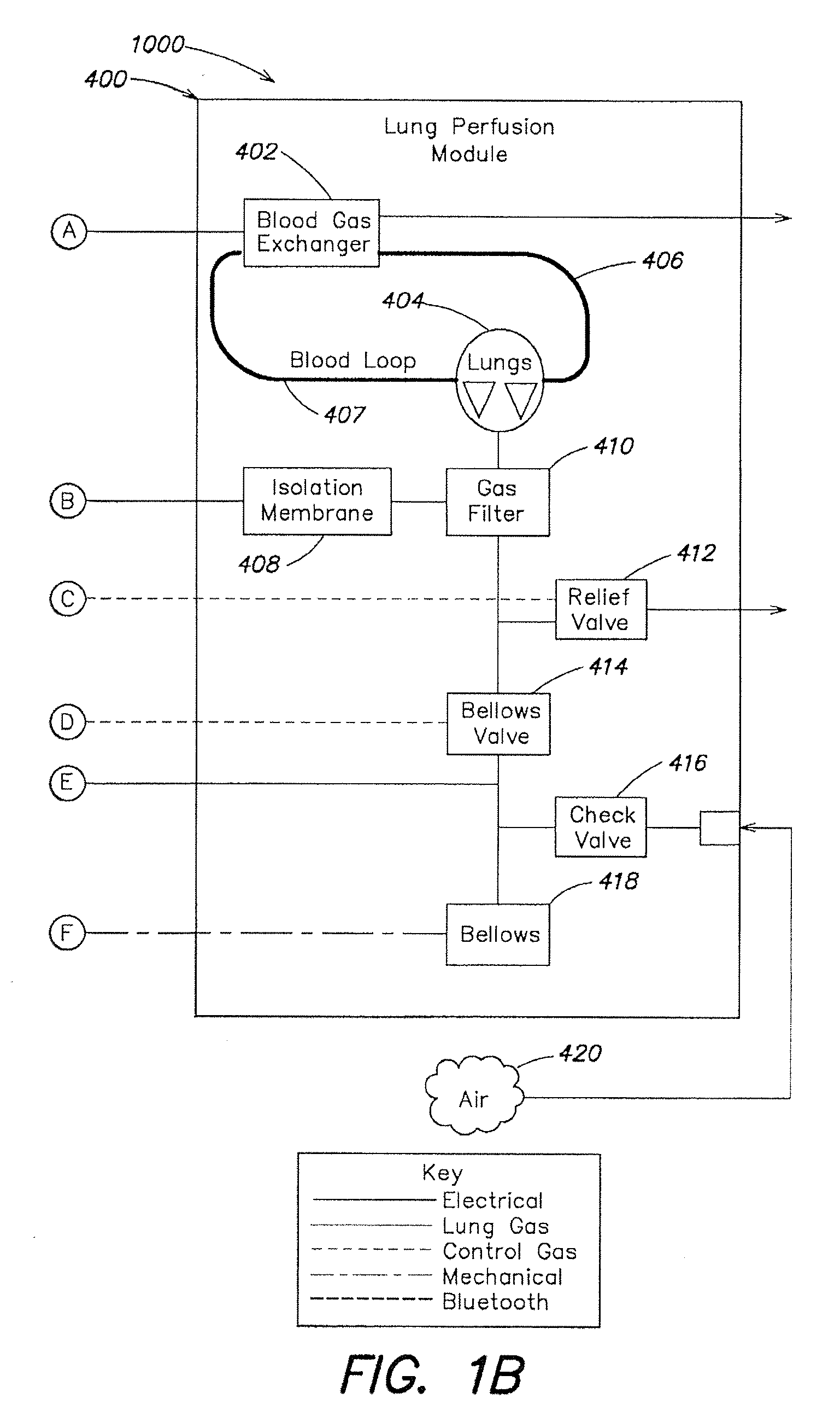 Systems and methods for ex vivo lung care