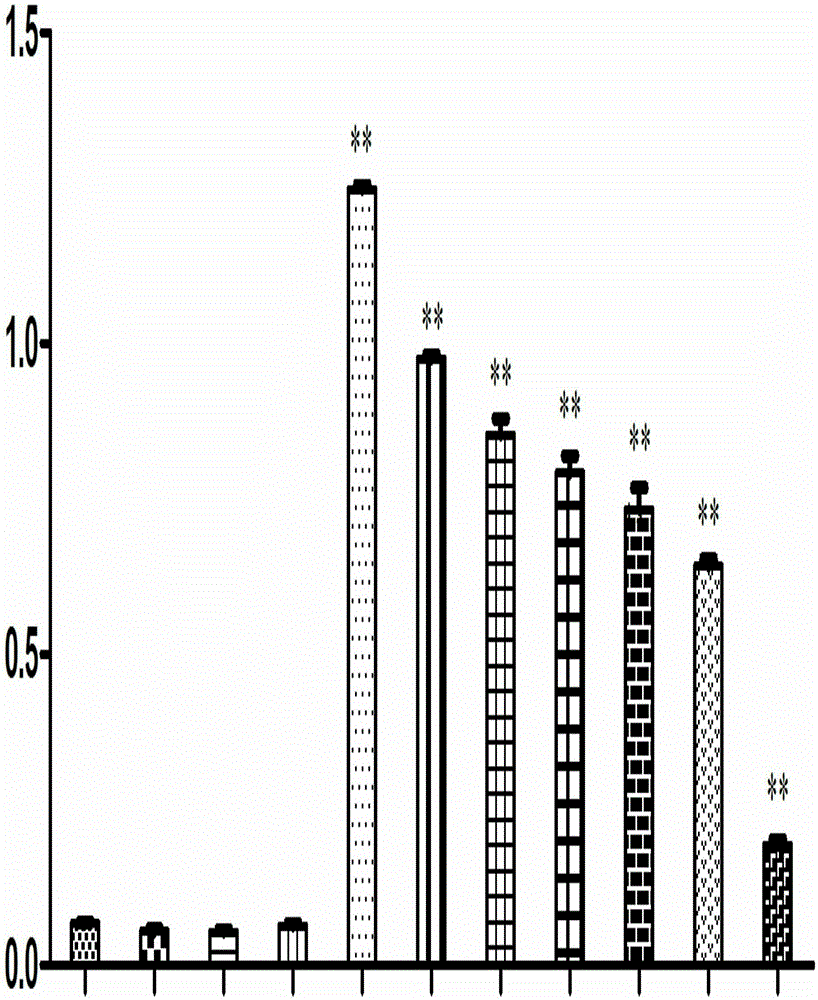 Application of scFv antibody in preparation used for treatment or prevention of infectious bursal disease of chicken