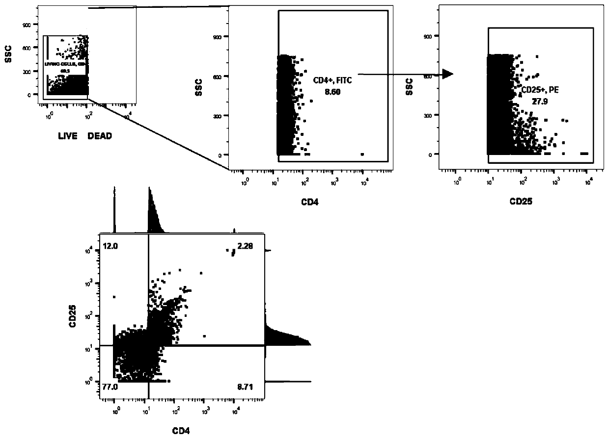 Human skin digestion complex enzyme and method for isolating micro-immune cell Treg cells from human few full-thickness skin