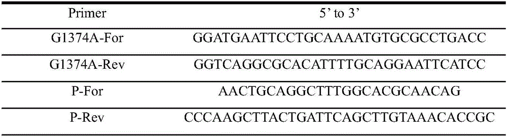 Immobilization method of sucrose isomerase