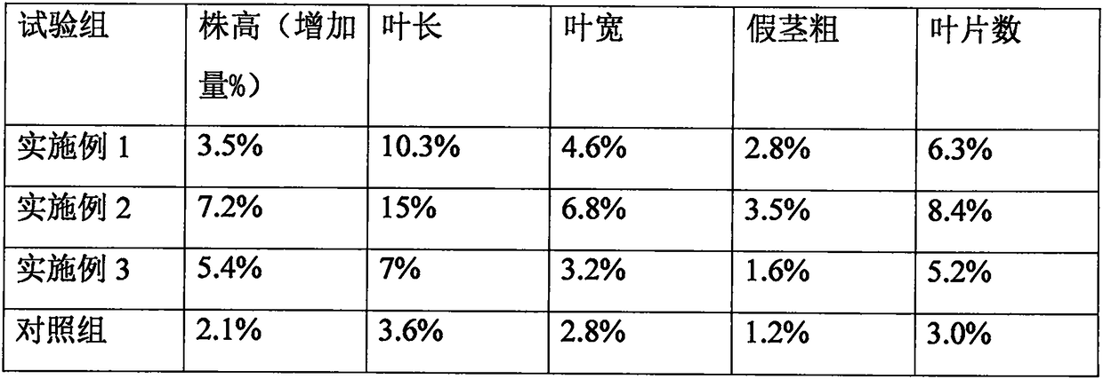 Water culture nutrient solution special for hotbed chives and preparation method of water culture nutrient solution