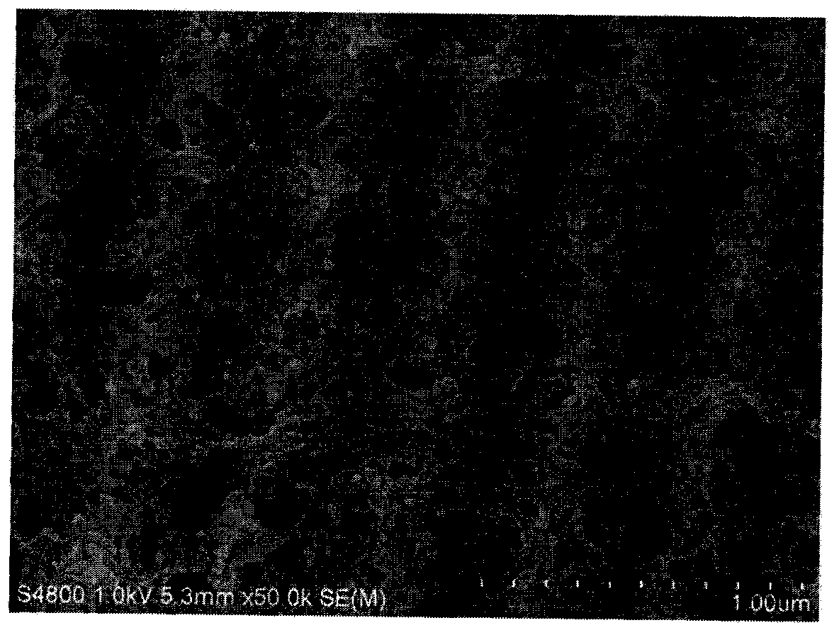 Preparation method for rebaudiodside A molecularly-imprinted polymer