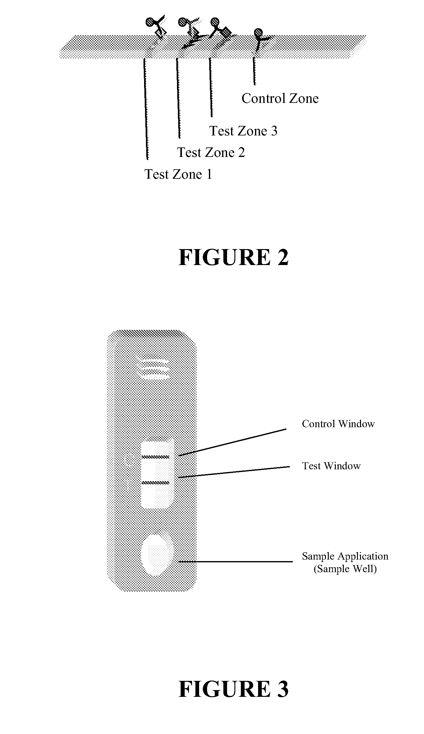 Chromatographic assay system