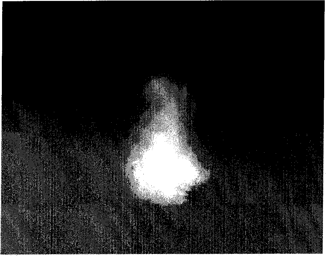 Object interactive combustion simulation method based on physics