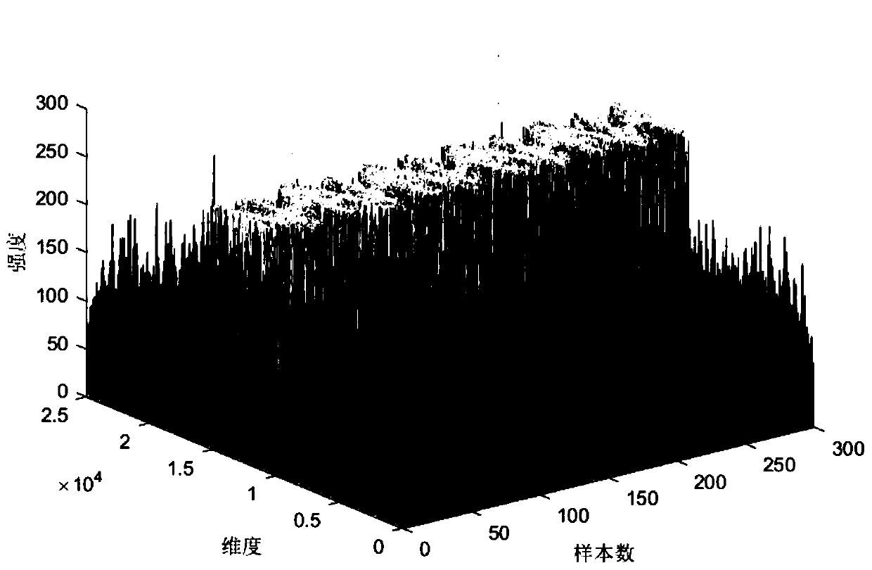 SAR image target identification method based on feature construction