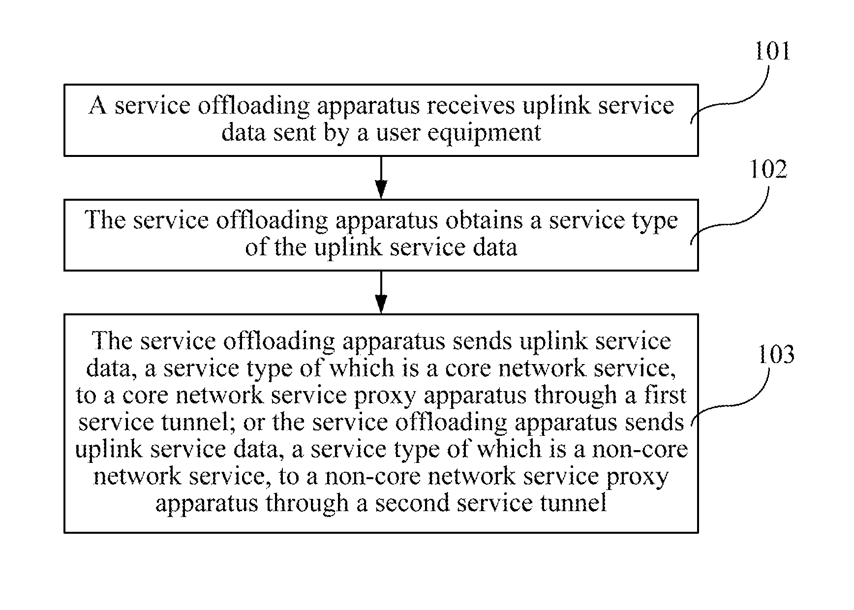 Service Data Transmission Processing Method and Device and Communication System