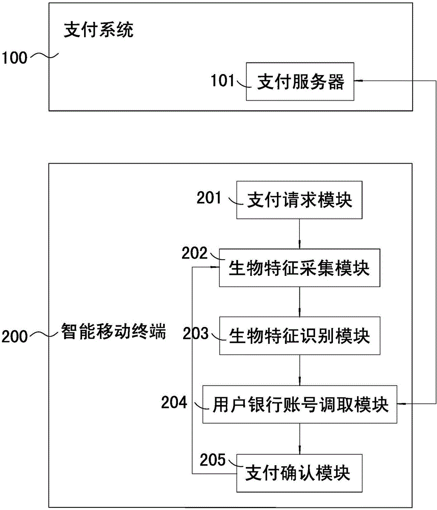 Payment and identity authentication systems based on biometric feature recognition