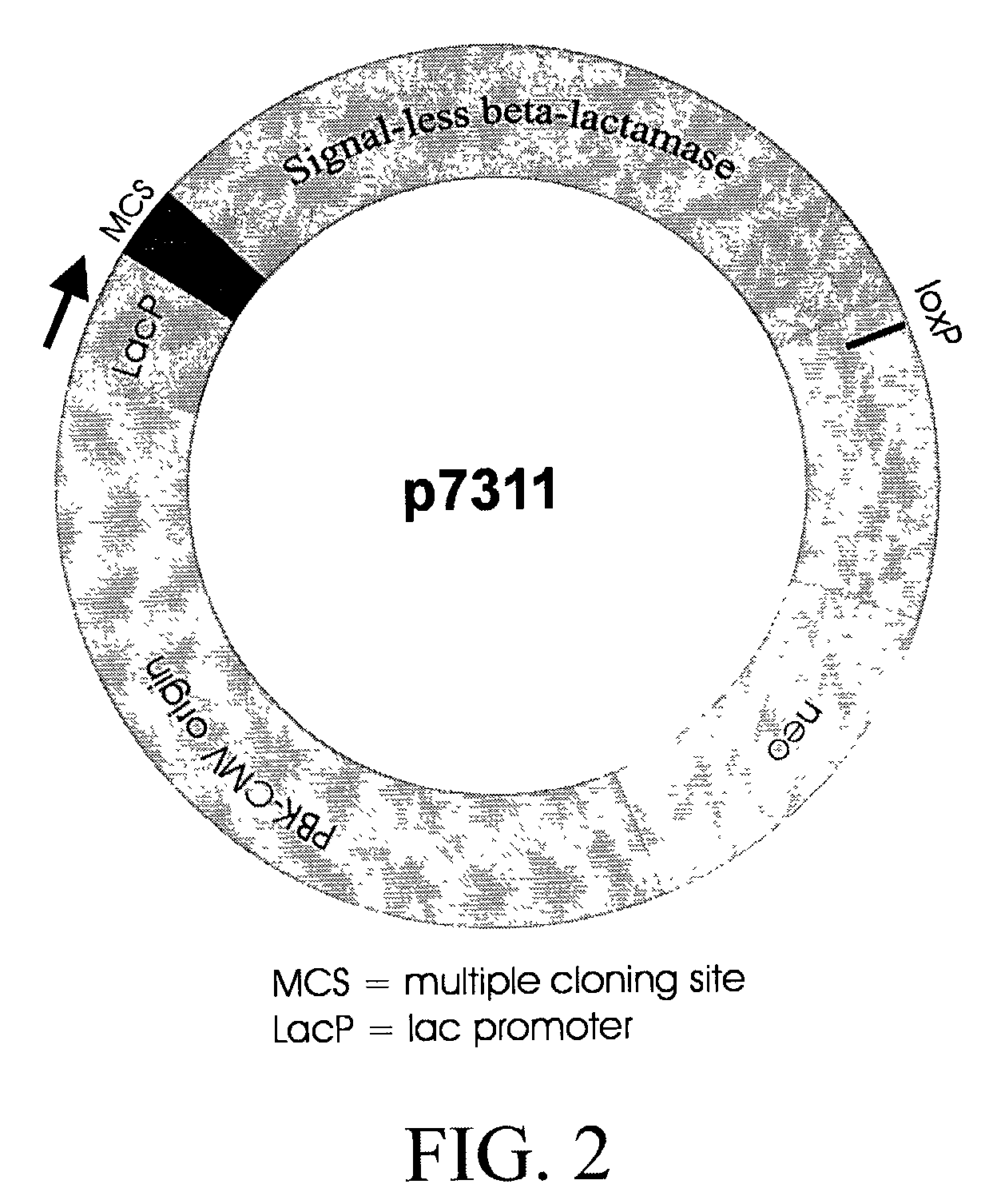 Vector system for selection of genes encoding secreted proteins and membrane-bound proteins