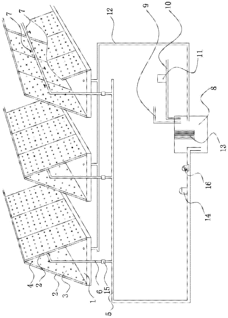 High-efficiency high-yield production method of mycorrhizal fungi