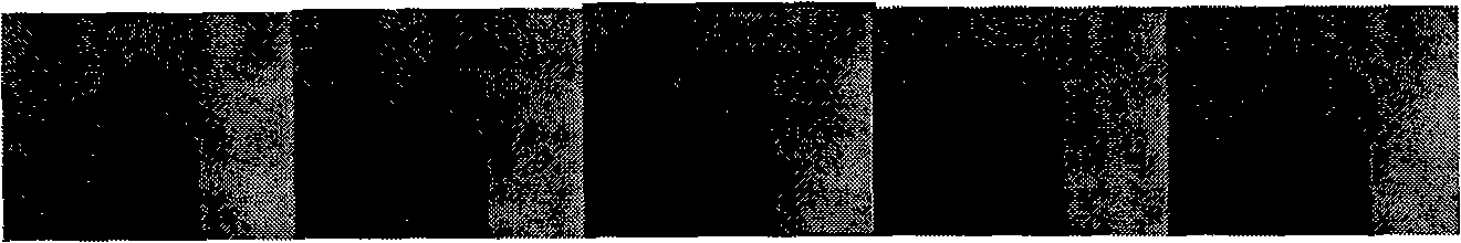 Method for converting flat video to tridimensional video based on bidirectional tracing and characteristic points correction